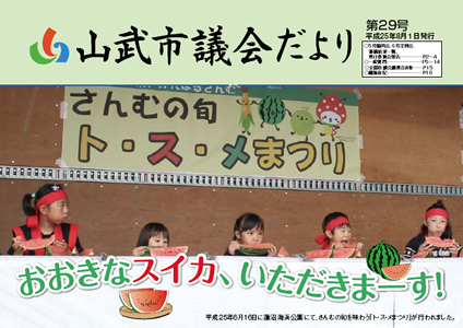 第29号　平成25年8月1日発行