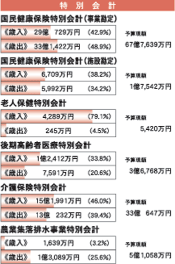 特別会計－平成21年度上半期執行状況