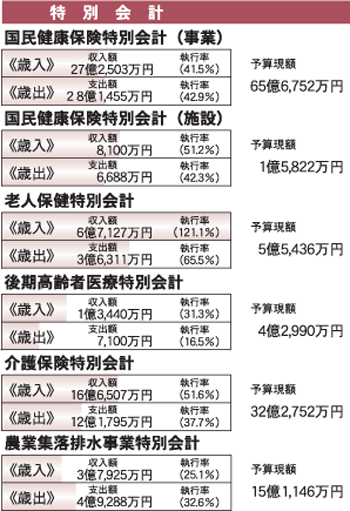 特別会計－平成20年度上半期執行状況