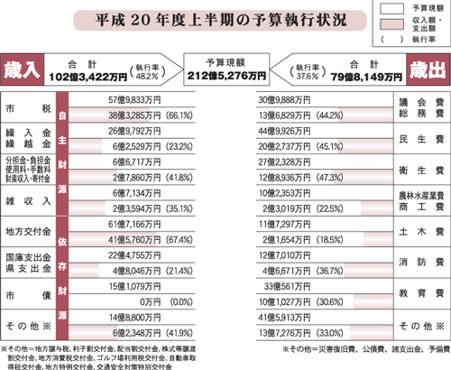 平成20年度上半期執行状況01