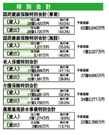 特別会計－平成19年度上半期執行状況