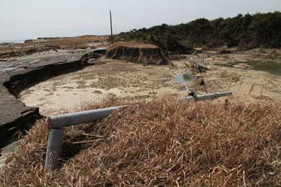 津波によりアスファルトがえぐられ、電柱も折れ曲がっている海岸