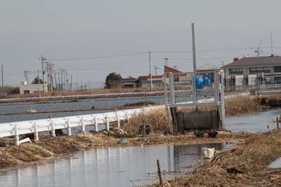 水路を逆流して上下の田んぼに海水が押し寄せています