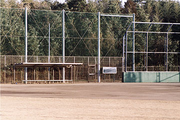 蓮沼野球場