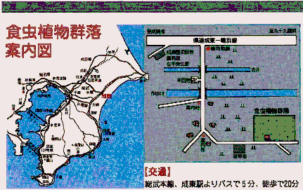 位置（成東・東金食虫植物群落）