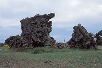 柴原地区岩塊