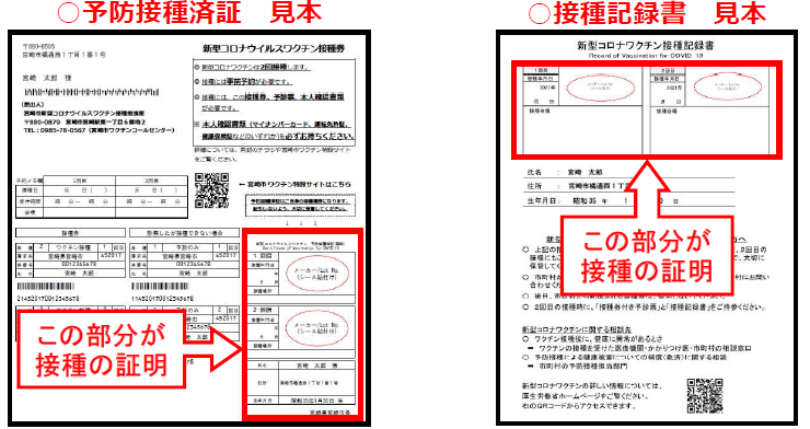 接種証明見本