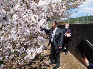 成東高校観桜訪問