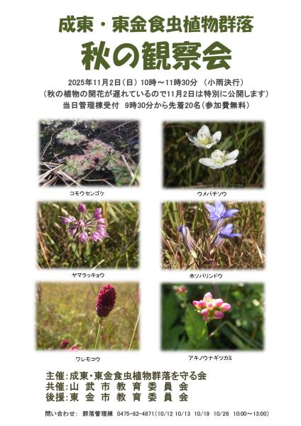 成東・東金食虫植物群落 秋の観察会2025