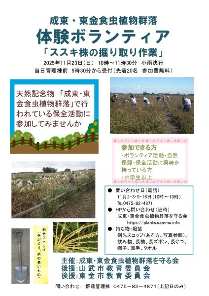 令和7年度 体験ボランティア ススキ株の堀り取り