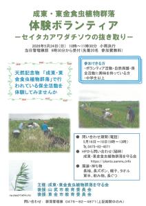 R08セイタカアワダチソウ抜き取りボランティア