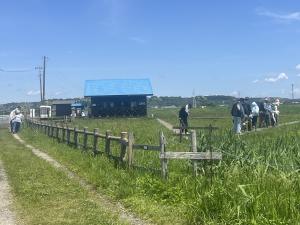 観察会の様子（R07春の観察会）