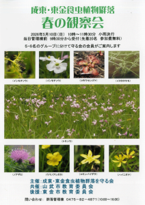 春の観察会　5月