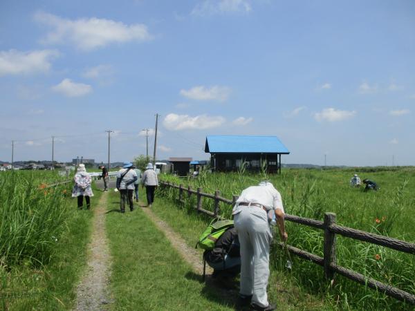 食虫夏の観察会