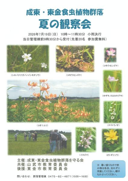 夏の観察会チラシ