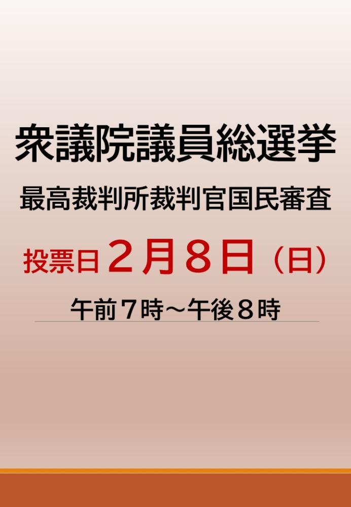 第51回衆議院議員総選挙をピックアップ